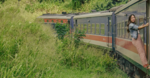 Blue train through country