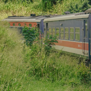Blue train through country