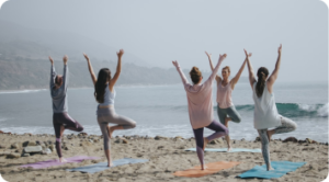 Wellness Reset