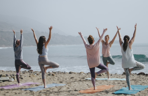 Wellness Reset